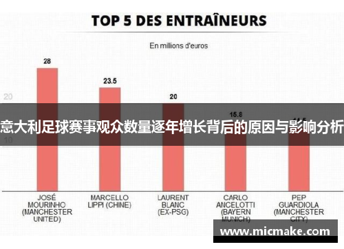 意大利足球赛事观众数量逐年增长背后的原因与影响分析